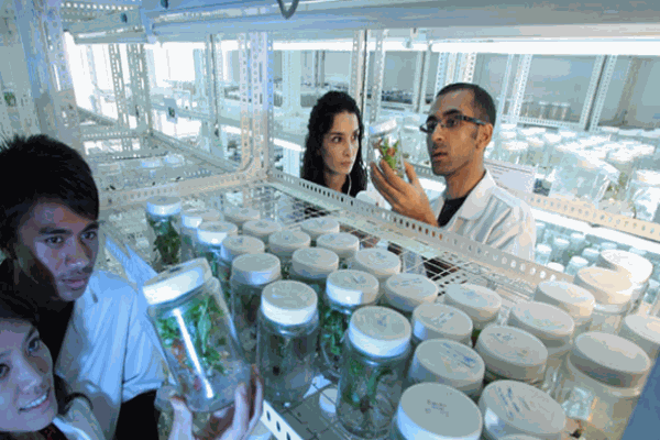 健力园无糖食品